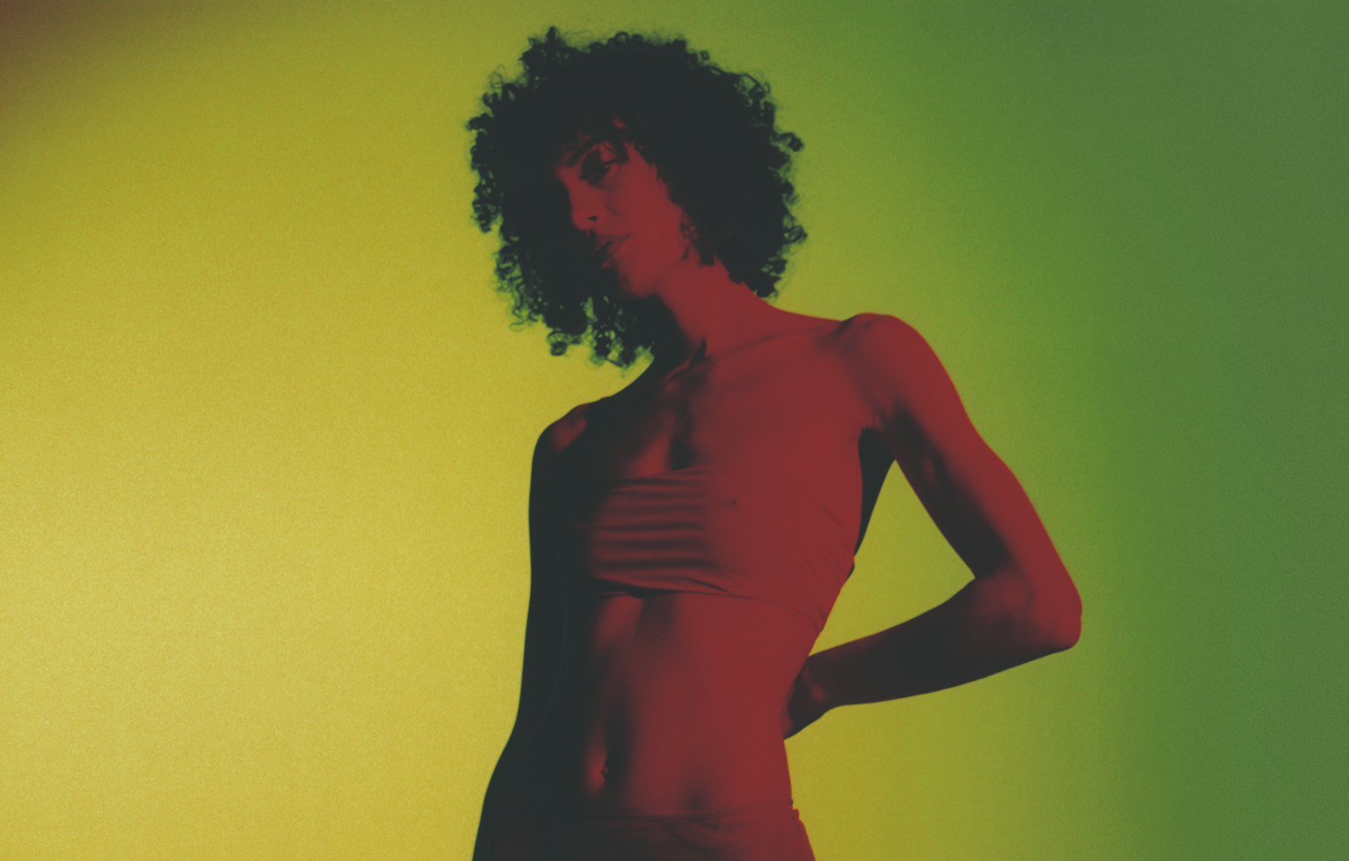 Portrait de Jäde. Jupe en tulle de soie brodé, Fendi.